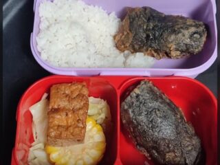 Beri Makanan MBG Sesuai Juknis, Jangan Berikan Kepala Ikan Untuk Anak TK