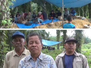 Ribuan Warga Inhu Bertahan Jaga Kebun, Tolak KSO PT Agrinas–PT TDE