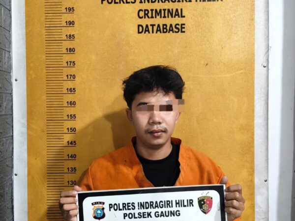 Polsek Gaung Ungkap Kasus Dugaan Tindak Pidana Pornografi di Desa Belantaraya