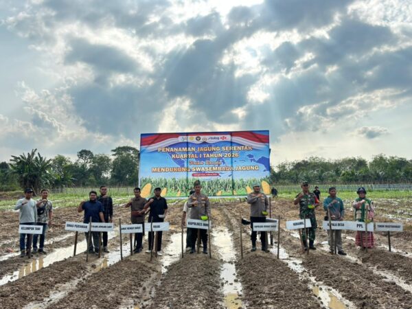 Penanaman Jagung Pipil Serentak Kuartal I, Polres Inhu Bersama Mitra di Tujuh Lokasi