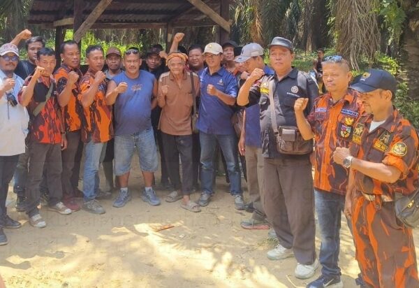 Beratribut Ormas dan Bawa Senjata Tajam, Kelompok Jonny Wardi Panen TBS di Kebun eks PT SAL