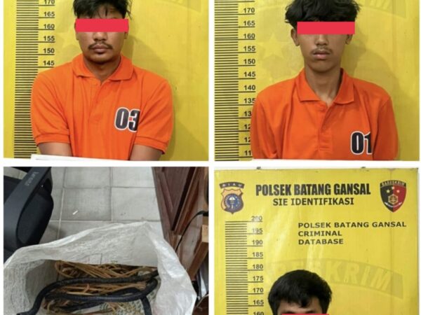 Polsek Batang Gansal Ringkus Komplotan Maling Kabel Grounding Tower