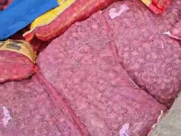 Diduga Ilegal, Puluhan Ton Komoditas Hortikultura Dari Tanjung Pinang Diamankan di Tembilahan.