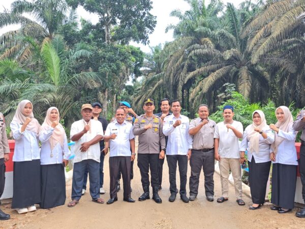 Pembangunan Jembatan Merah Putih Tahap II, Polsek LBJ Selesaikan Renovasi Jembatan Desa Pondok Gelugur