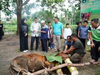 Kodim 0314/Inhil Sembelih 12 Hewan Kurban, Pererat Kemanunggalan TNI dan Rakyat