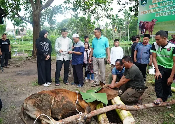 Kodim 0314/Inhil Sembelih 12 Hewan Kurban, Pererat Kemanunggalan TNI dan Rakyat