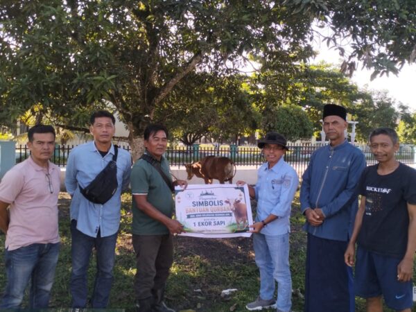 PT SBL Salurkan Tiga Sapi Kurban untuk Warga dan Karyawan di Sentajo Raya