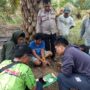 Narkoba di Pedalaman Inhu, Polsek Batang Cenaku Ringkus Pria di Desa Anak Talang