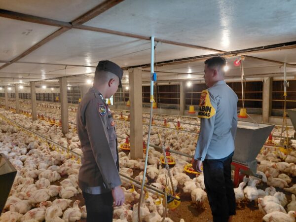 Bhabinkamtibmas Polsek Kelayang Kawal Modernisasi Ketahanan Pangan