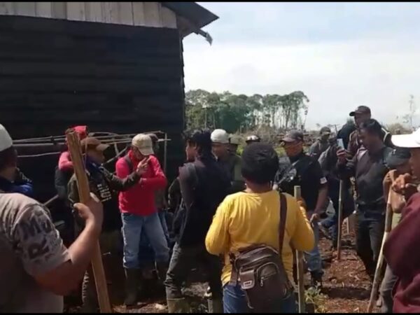 Ribuan Sawit Petani Sungai Raya Dicabut Paksa, Konflik Lahan Memanas dan Bentrok Mengancam