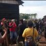 Ribuan Sawit Petani Sungai Raya Dicabut Paksa, Konflik Lahan Memanas dan Bentrok Mengancam