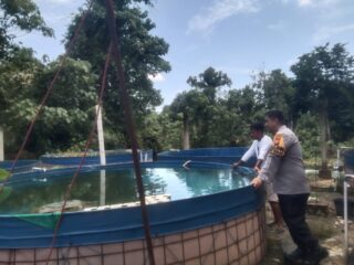 Swasembada Pangan Dengan Ikan Lele, Bhabinkamtibmas Polsek Kelayang Dampingi Warga Langsung