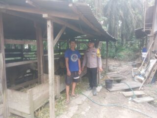 Personel Polsek Kelayang Pantau Langsung Kepeternak, Swasembada Pangan Daging Dapat Tercapai