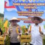 Panen Jagung Pipil Kuartal II Ketahanan Pangan Bersama Presiden, Ini Pesan Kapolres dan Bupati Inhu