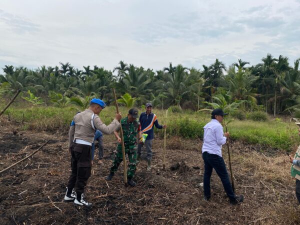 Polsek Kuindra Turun ke Lahan, Jagung Desa Teluk Dalam Jadi Simbol Semangat Swasembada Pangan
