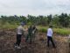 Polsek Kuindra Turun ke Lahan, Jagung Desa Teluk Dalam Jadi Simbol Semangat Swasembada Pangan