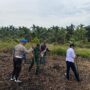 Polsek Kuindra Turun ke Lahan, Jagung Desa Teluk Dalam Jadi Simbol Semangat Swasembada Pangan
