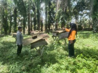DDS Bhabinkamtibmas Polsek Kelayang, Polisi Cinta Petani dan Manisnya Madu