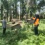 DDS Bhabinkamtibmas Polsek Kelayang, Polisi Cinta Petani dan Manisnya Madu