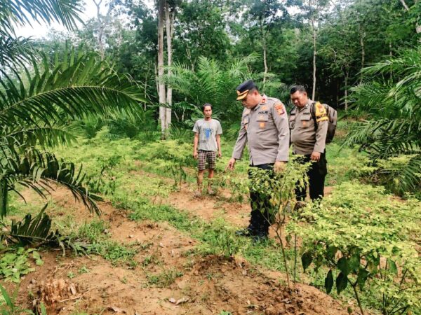 Program P2B Jadi Penguat Ekonomi Keluarga, Polsek Rengat Barat Lakukan Monitoring Intensif