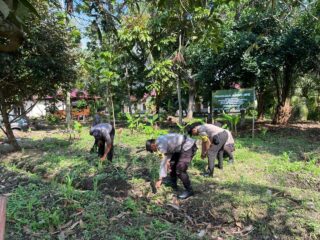 Mendukung Program Asta Cita, Dalam Rangka Ketahanan Pangan Nasional Program Holtikultura Tanaman Jagung di Polsek Tembilahan Hulu.