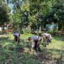 Mendukung Program Asta Cita, Dalam Rangka Ketahanan Pangan Nasional Program Holtikultura Tanaman Jagung di Polsek Tembilahan Hulu.