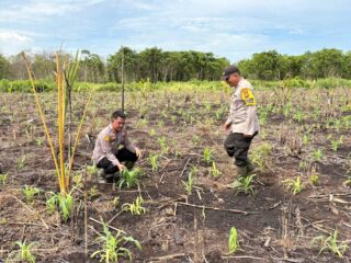 Polsek Mandah ,Polres Inhil Siap Mendukung Program Asta Cita Presiden Republik Indonesia Melalui Ketahanan Pangan.