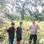Polisi Cinta Petani, Polres Inhu Fokus Motivasi Pemanfaatan Pekarangan Produktif Warga