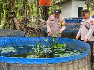 Polsek Lirik Dorong Petani Ikan Rejosari Lewat Cek Lokasi 15.000 Ekor Budidaya