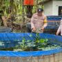 Polsek Lirik Dorong Petani Ikan Rejosari Lewat Cek Lokasi 15.000 Ekor Budidaya