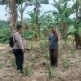 Polres Inhu Tingkatkan Kesadaran Masyarakat Pentingnya Ketahanan Pangan, Manfaatkan Lahan Secara Produktif