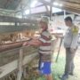 Bhabinkamtibmas Polsek Sungai Batang Masuk Kandang Domba, Pantau Ketahanan Pangan Warga Jelang Idul Adha