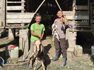 Polri Hadir di Tengah Peternakan, Polsek Kelayang Dorong Swasembada Pangan