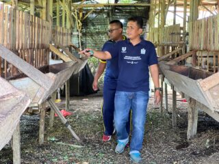 Polsek Lirik Dukung Ketahanan Pangan, Cek Langsung Peternakan Domba Binaan di Seko Lubuk Tigo