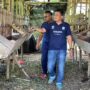 Polsek Lirik Dukung Ketahanan Pangan, Cek Langsung Peternakan Domba Binaan di Seko Lubuk Tigo