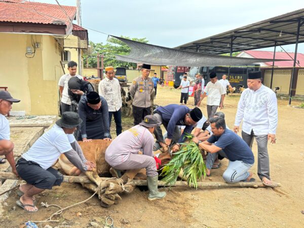 Idul Adha 1447 H, Polres Inhu Gelar Sholat Ied Dan Potong Hewan Qurban Berasal Dari Peternak Ketahanan Pangan Binaan