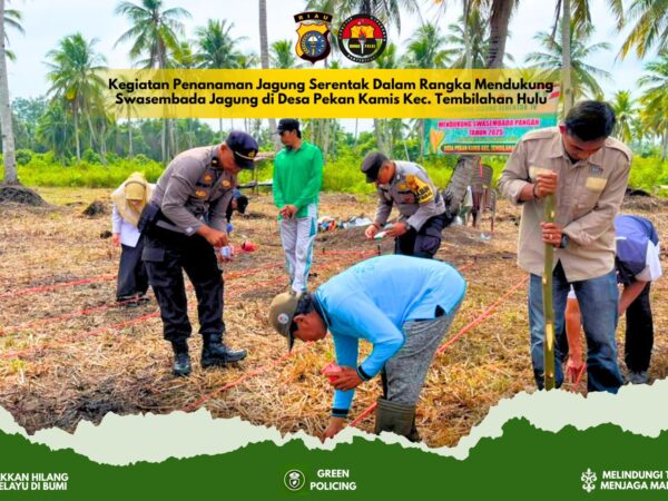 Dukung Swasembada Pangan Asta Cita, Polsek Tembilahan Hulu Gelar Penanaman Jagung Serentak