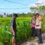 Polsek Sungai Batang Aktif Dampingi Warga, Dukung Swasembada Ketahanan Pangan di Kecamatan Sungai Batang