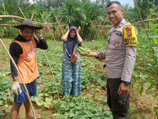 Polisi dan Masyarakat Bersinergi Wujudkan Swasembada Pangan di Rengat Barat