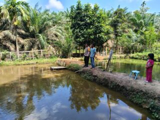 Dukung Ketahanan Pangan, Bhabinkamtibmas Polsek Kelayang Sambangi Peternakan Ikan Nila Warga Desa Kota Medan