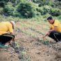 Bersama BUMN Dan Kelompok Tani Polres Inhu Dukung Ketahanan Pangan Nasional Dengan Jagung Pipil