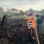 Dalam Hitungan Jam, TRC BPBD Inhil Taklukkan Dua Titik Karhutla