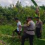 Dukung Swasembada Pangan, Polsek Tembilahan Hulu Pantau Kesiapan Lahan Jagung di Dua Desa