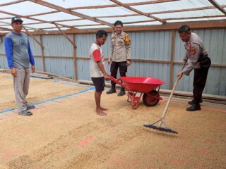 Kanit Samapta Polsek Sungai Batang dan Babinkamtibmas Benteng Utara Sambangi Petani Jemur Padi