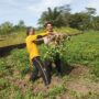Tanaman Kacang Panjang Siap Panen, Polsek Kelayang Beri Motivasi Petani Desa Teluk Sejuah