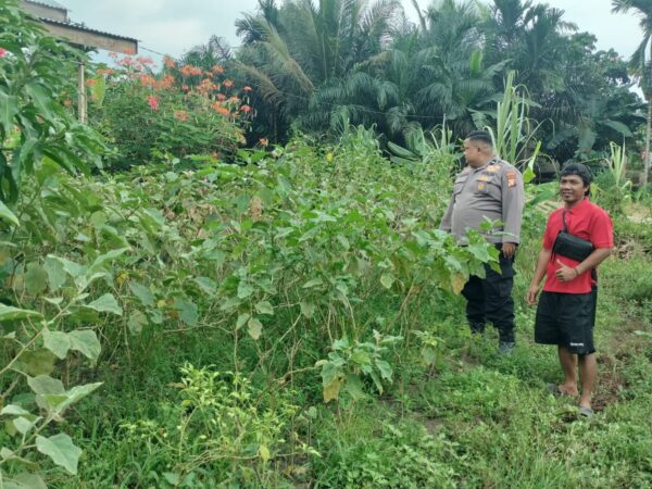 Polisi Cinta Petani Hadir di Tengah Warga, Polres Inhu Perkuat Ketahanan Pangan dari Sektor Pertanian dan Peternakan
