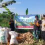 Bhabinkamtibmas Polsek Tembilahan Laksanakan Panen Jagung Bersama Warga Setempat