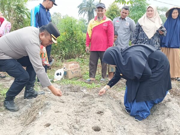 Swasembada Pangan Jagung Pipil Nasional, Polres Inhu Tanam hingga Pantau Perkembangan Tanaman