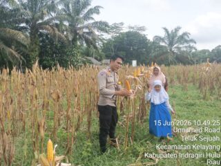 Ketahanan Pangan Dan Swasembada Jagung Pipil, Ini yang Dilakukan Polres Inhu