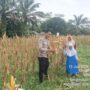 Ketahanan Pangan Dan Swasembada Jagung Pipil, Ini yang Dilakukan Polres Inhu